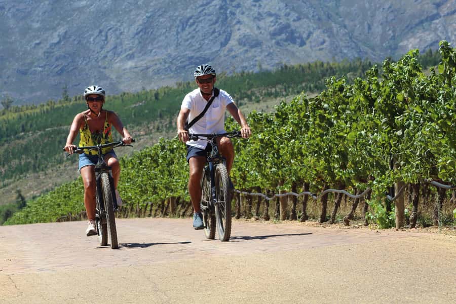 Stellenbosch: Wine Farm E-Bike Guided Tour - What to expect at the first wine farm