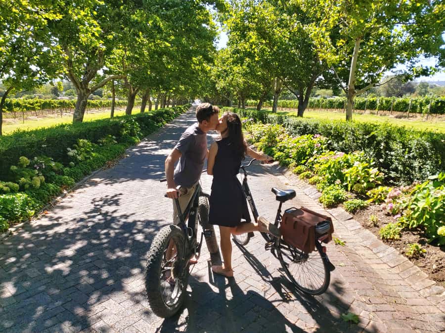 Stellenbosch: Wine Farm E-Bike Guided Tour - Following the cycle path into Jonkershoek Valley