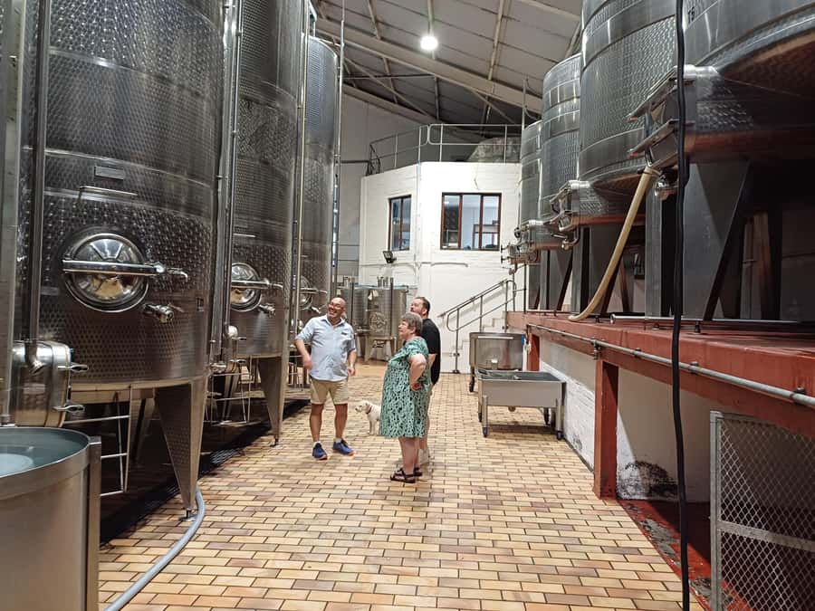 Stellenbosch wine tour, all inclusive of lunch and tastings. - Lunch with local Cape food