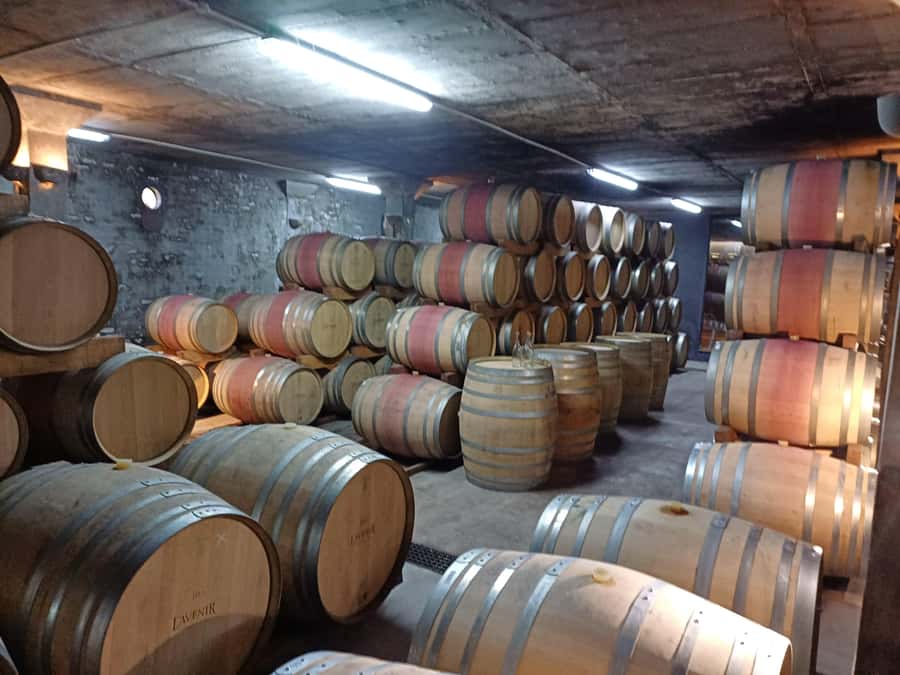 Stellenbosch wine tour, all inclusive of lunch and tastings. - Guides who keep the day moving