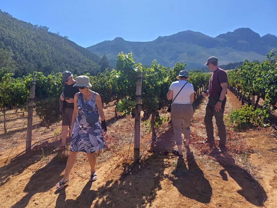 Stellenbosch wine tour, all inclusive of lunch and tastings. - Who will enjoy this Stellenbosch day?
