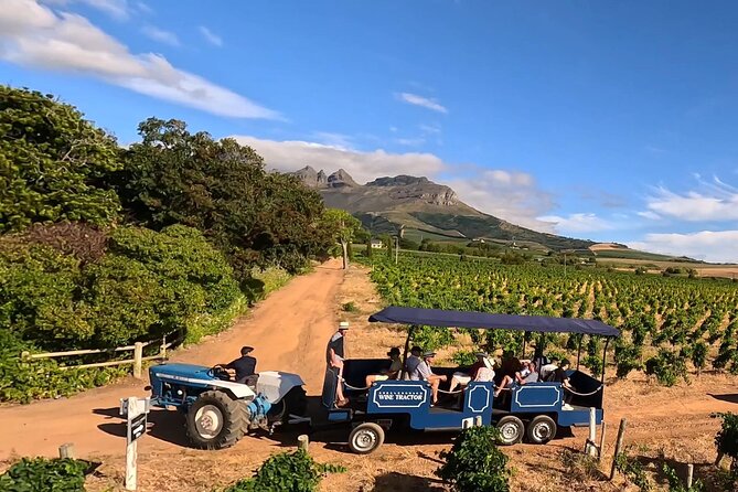 Stellenbosch Wine Tractor hop-on-hop off wine tasting tour - Key points to know before you book