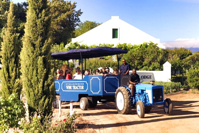 Stellenbosch Wine Tractor hop-on-hop off wine tasting tour - What to expect at the eight listed estates