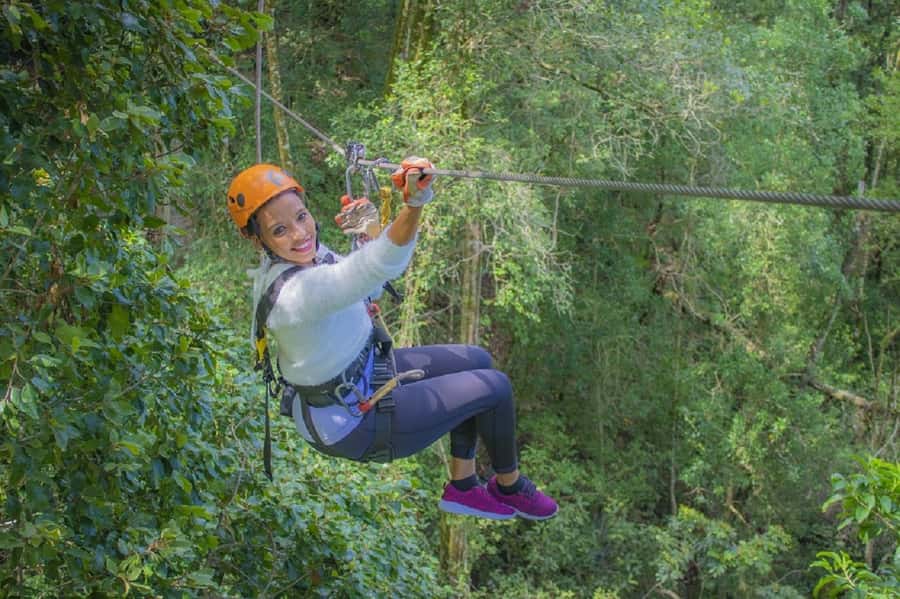 Storms River: Tsitsikamma National Park Zipline Canopy Tour - Quick Points Before You Book