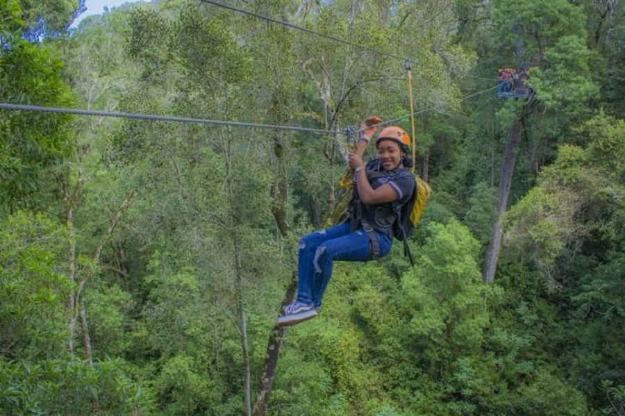 Storms River: Tsitsikamma National Park Zipline Canopy Tour - How It Feels for First-Timers and Families