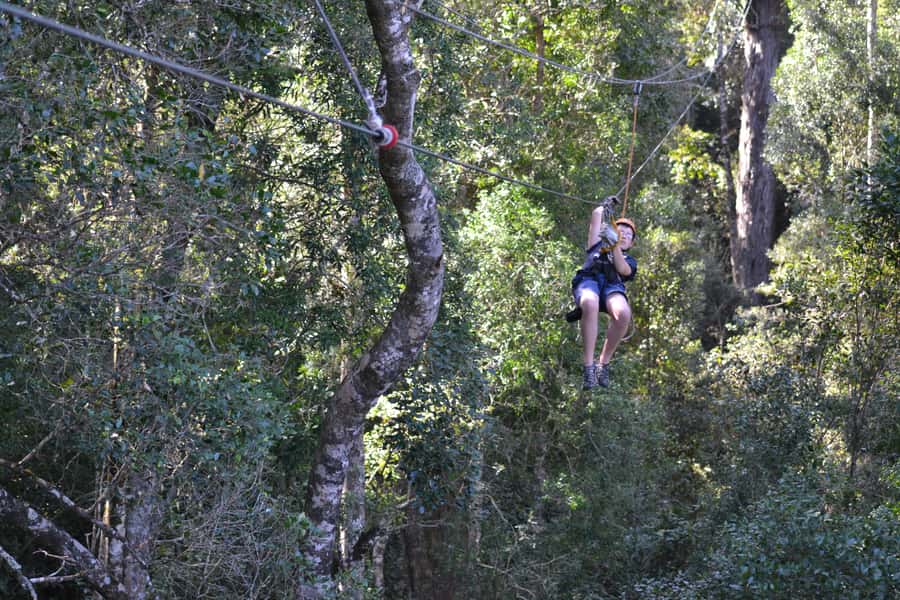 Storms River: Tsitsikamma National Park Zipline Canopy Tour - Who Should Book This Canopy Tour?
