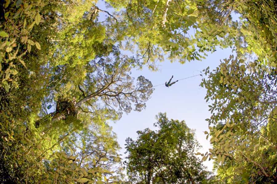 Storms River: Tsitsikamma National Park Zipline Canopy Tour - My Verdict: A Gentle Introduction to Tsitsikamma from Above