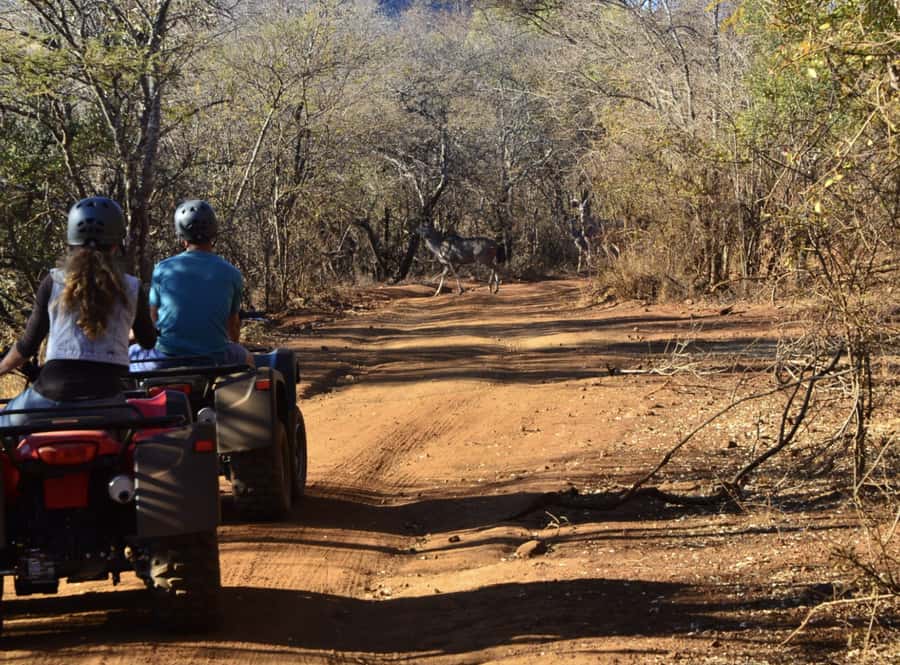 Sun City: Letsatsing Game Park Nature Trail Quad Bike Tour - The 30-Minute Nature Trail