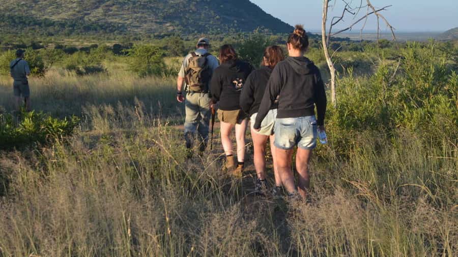 Sun City: Pilanesberg National Park Bush Walk - Seeing Pilanesberg from ground level