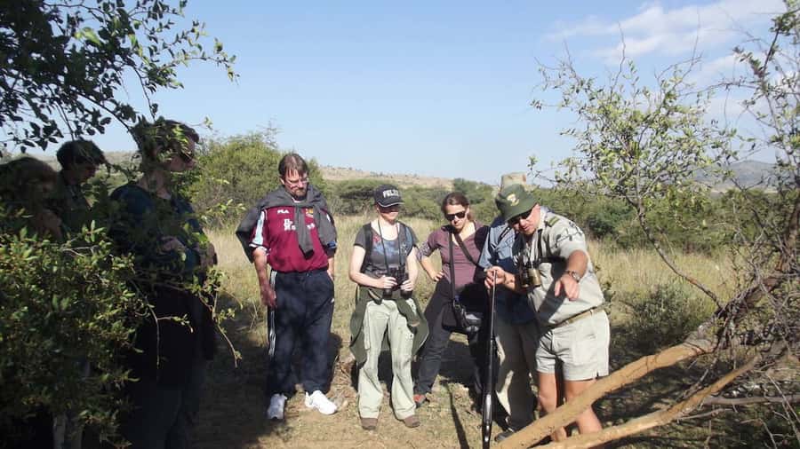 Sun City: Pilanesberg National Park Bush Walk - The sound and feel of the early morning