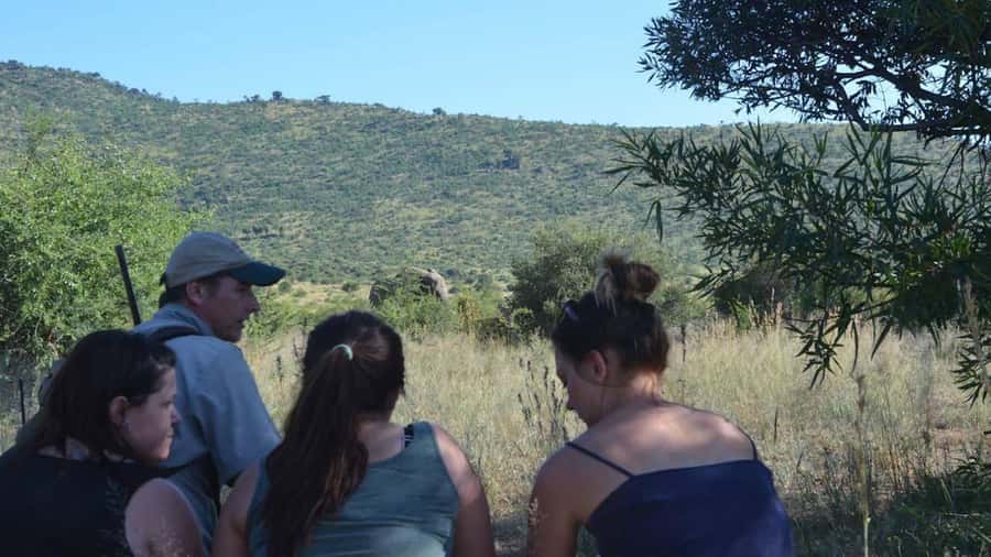 Sun City: Pilanesberg National Park Bush Walk - Booking, cancellations, and practical planning