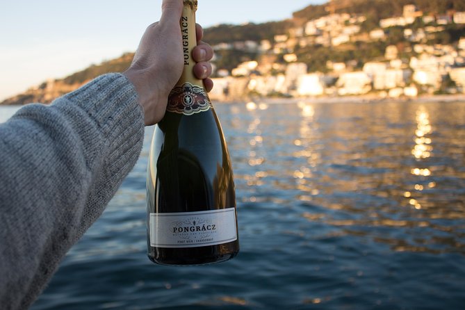 Sunset & Champagne Cruise for 2 pax on TIGGER 2 ( Guaranteed departure ) - What the fast cruiser feels like on the water