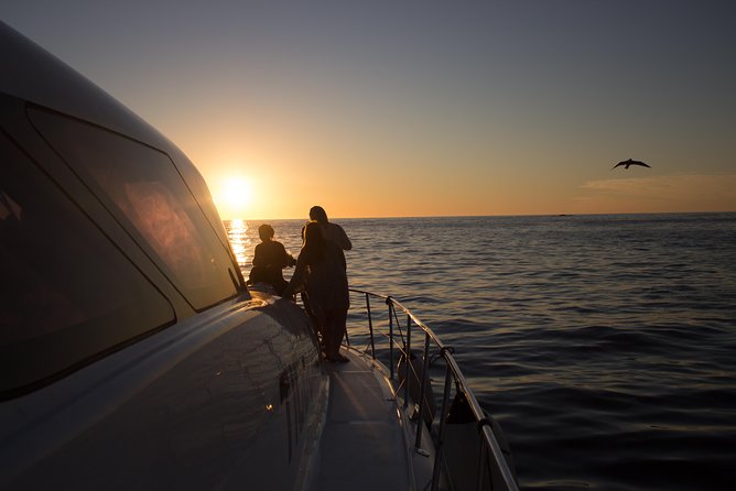 Sunset & Champagne Cruise for 2 pax on TIGGER 2 ( Guaranteed departure ) - Who will enjoy TIGGER 2 most?