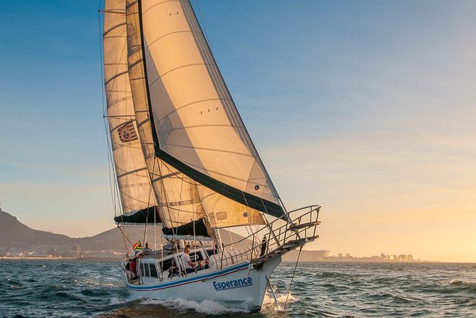 Sunset Champagne Cruise from Cape Town - Wildlife sightings are an added bonus