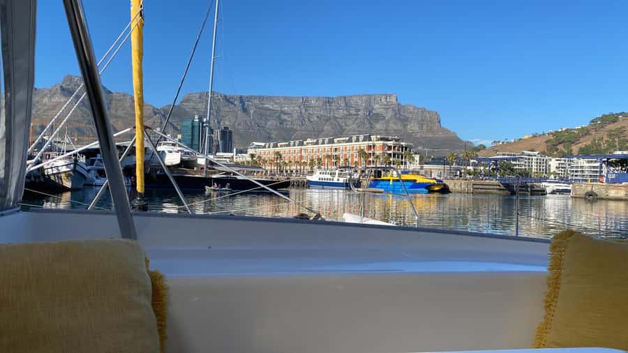 Sunset Cruise with Cape Town Cruises - Wildlife watching without a promise