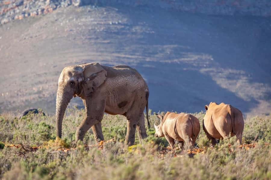 Sunset Safari at the big 5 Game Reserve All inclusive - Should you book it?