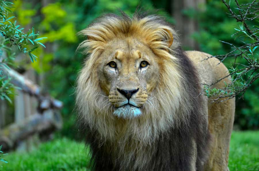 sunset safari big 5 Game reserve Group Tour - What the $224 price really covers