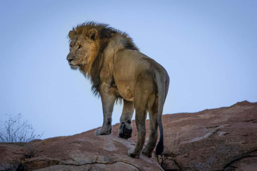 sunset safari big 5 Game reserve Group Tour - The 110-minute drive to Worcester