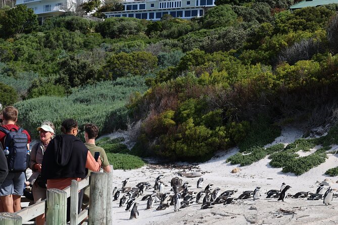 Supersaver: Cape of Good Hope and Cape Point Day Tour from Cape Town - The guide can shape the whole day