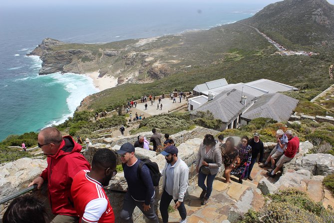 Swim with Penguins At Boulders Chapman's Peak Exc Entry Fees - From Signal Hill to Camps Bay in one sweeping morning