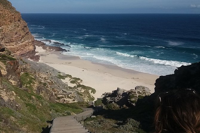 Swim with Penguins At Boulders Chapman's Peak Exc Entry Fees - The penguins at Boulders Beach and historic Simon’s Town