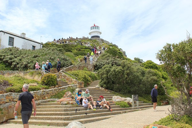 Swim with Penguins At Boulders Chapman's Peak Exc Entry Fees - Chapman’s Peak Drive, with 114 bends and ocean views