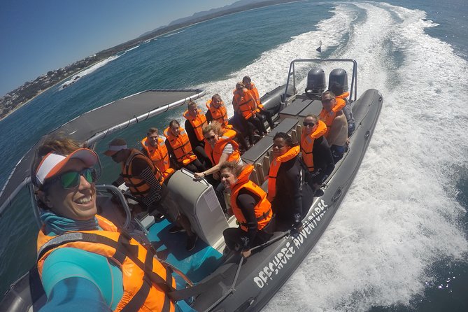 Swim with Seals - What happens before you enter the water