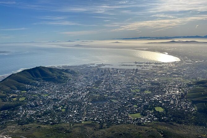 Table Mountain and Penguins Half Day Shared Group Tour - Why this half-day route works