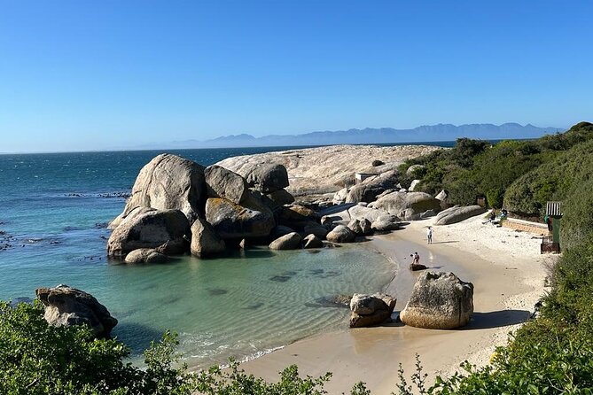 Table Mountain and Penguins Half Day Shared Group Tour - Boulders Beach is the emotional high point