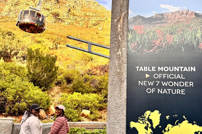 Table Mountain and Penguins Private Half Day Tour - Why this route works for a first Cape Town day