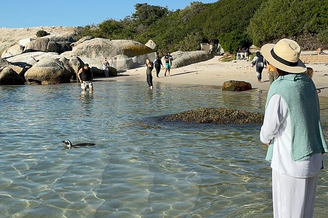 Table Mountain and Penguins Private Half Day Tour - Chapman’s Peak: the road becomes part of the tour