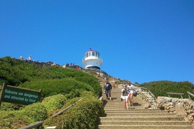 Table Mountain Boulder's Beach and Cape Point - Table Mountain: the day’s biggest optional cost