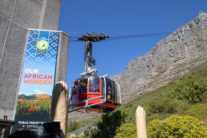 Table Mountain, Boulder's Penguins & Cape Point Private Tour from Cape Town - Why this private Cape Peninsula day works