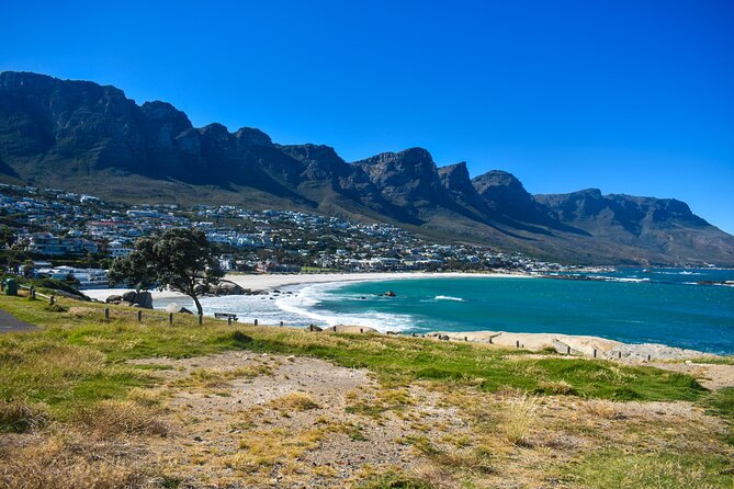 Table Mountain, Boulders Penguins & Cape point Private Day Tour - Ostriches Before Cape Point