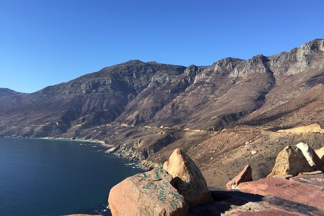 Table Mountain, Boulders Penguins & Cape point Private Day Tour - What the $162.76 Price Buys You