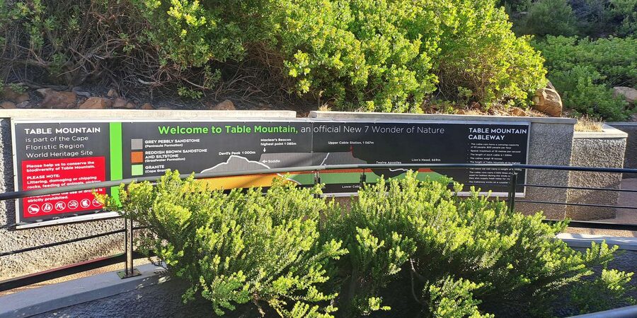 Table Mountain Cable Car Ticket with Transfer - Three marked trails and Table Mountain’s plant life