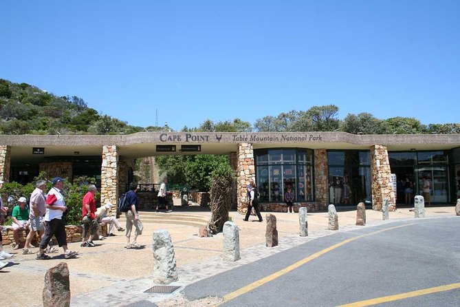 Table Mountain, Cape of Good Hope & Penguins - Cape Point Vineyards before the reserve
