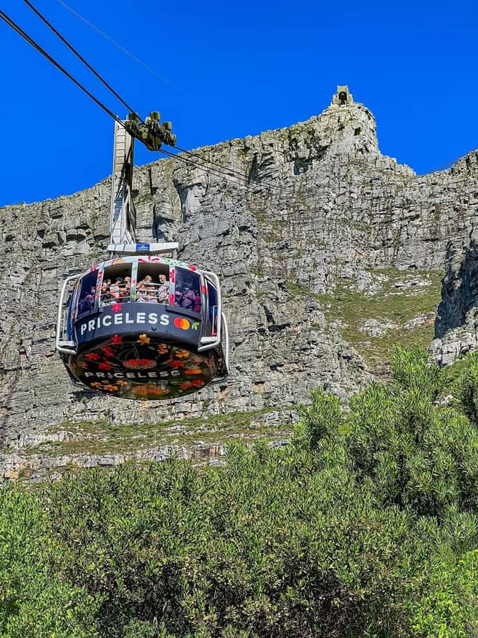 Table Mountain, Cape Of Good Hope, Penguins, Full Day Tour - Starting early at Table Mountain