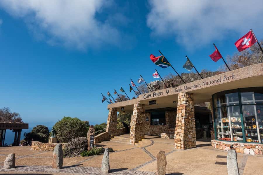 Table Mountain, Cape of Good Hope & Penguins Shared Tour - Why this Cape Town day works so well