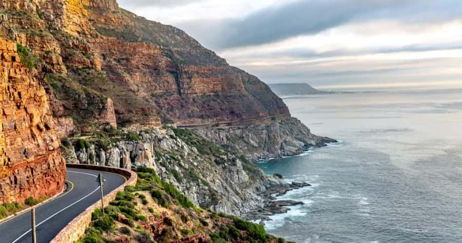 Table Mountain, Cape of Good Hope & Penguins Shared Tour - What the guide and vehicle add