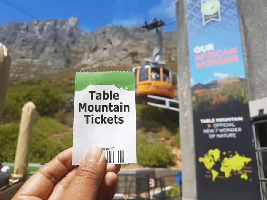 Table Mountain, Cape of Good Hope & Penguins Shared Tour - Should you book it?