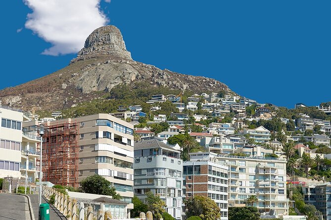 Table Mountain, Cape Point & Penguin Beach ENTRANCE INCLUDED - The Flying Dutchman adds a short optional ride