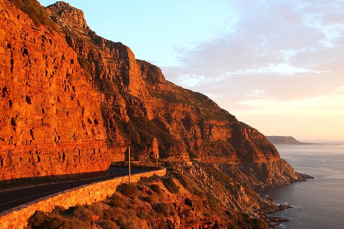 Table Mountain, Cape Point & Penguin Beach ENTRANCE INCLUDED - Cape of Good Hope offers a second coastal stop