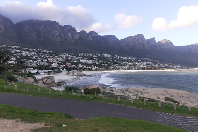 Table Mountain, Cape Point & Penguins Private ,From Cape Town - A quick ostrich stop before Cape Point