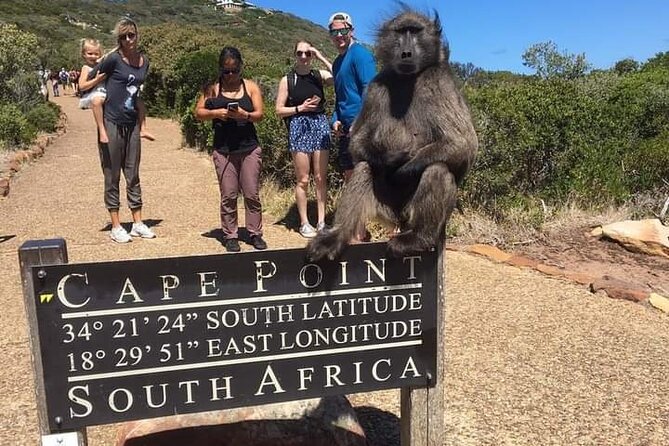 Table Mountain, Cape Point & Penguins Private ,From Cape Town - The Cape of Good Hope sign is a busy photo stop