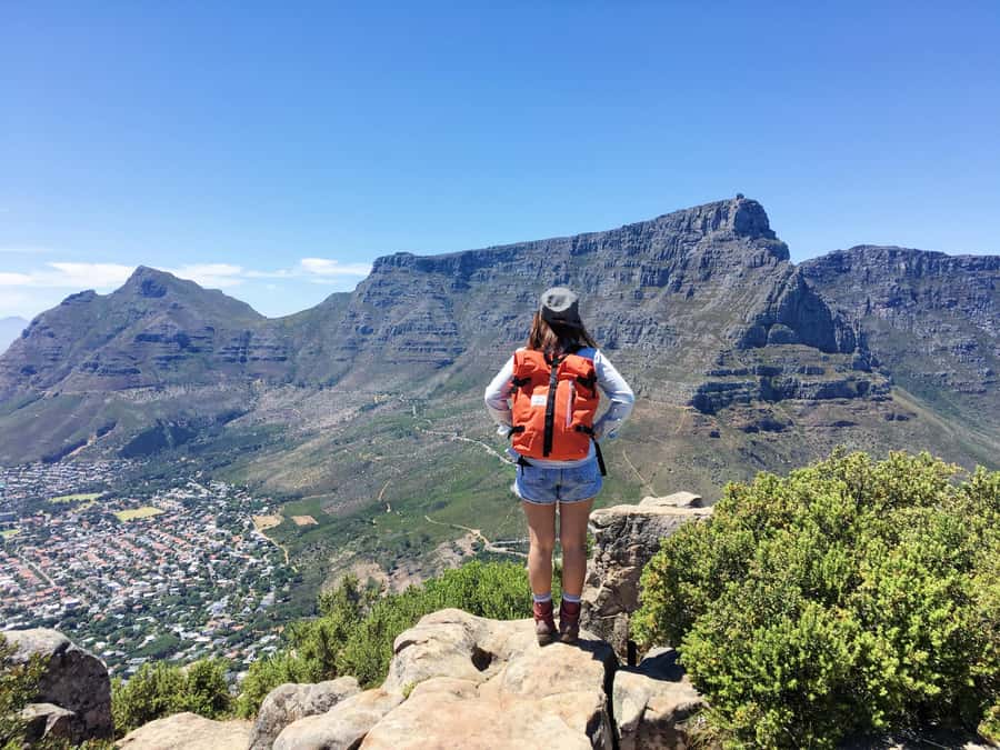 Table Mountain & Cape Town City Half Day Guided Tour - A smart way to meet Cape Town in five hours
