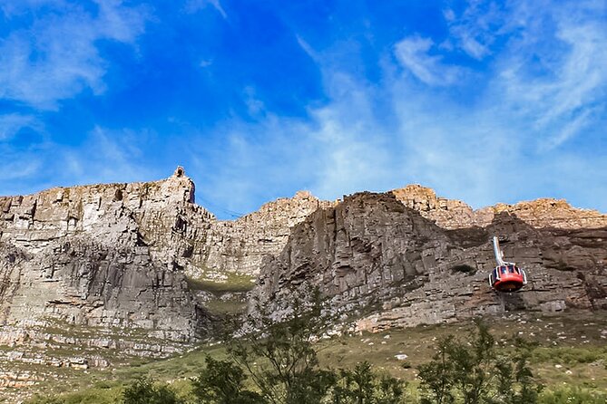 Table Mountain, Chapmans Peak Drive, Cape Point & Penguins - Why this private day works so well