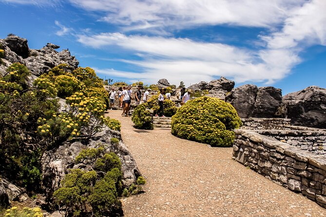 Table Mountain, Chapmans Peak Drive, Cape Point & Penguins - Boulders Beach and the African penguin colony