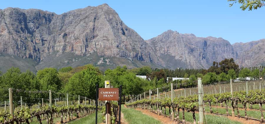 Table Mountain & Constantia Wine Estate Private Combo Tour - Table Mountain first, with the weather calling the shots
