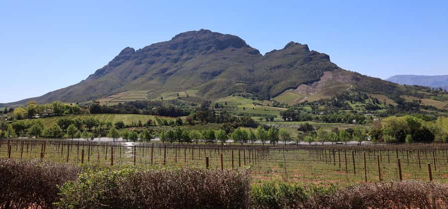 Table Mountain & Constantia Wine Estate Private Combo Tour - Practical booking advice for an eight-hour day
